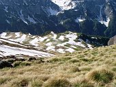 08 Pianoro della Baita Campo imbiancato dai fiori